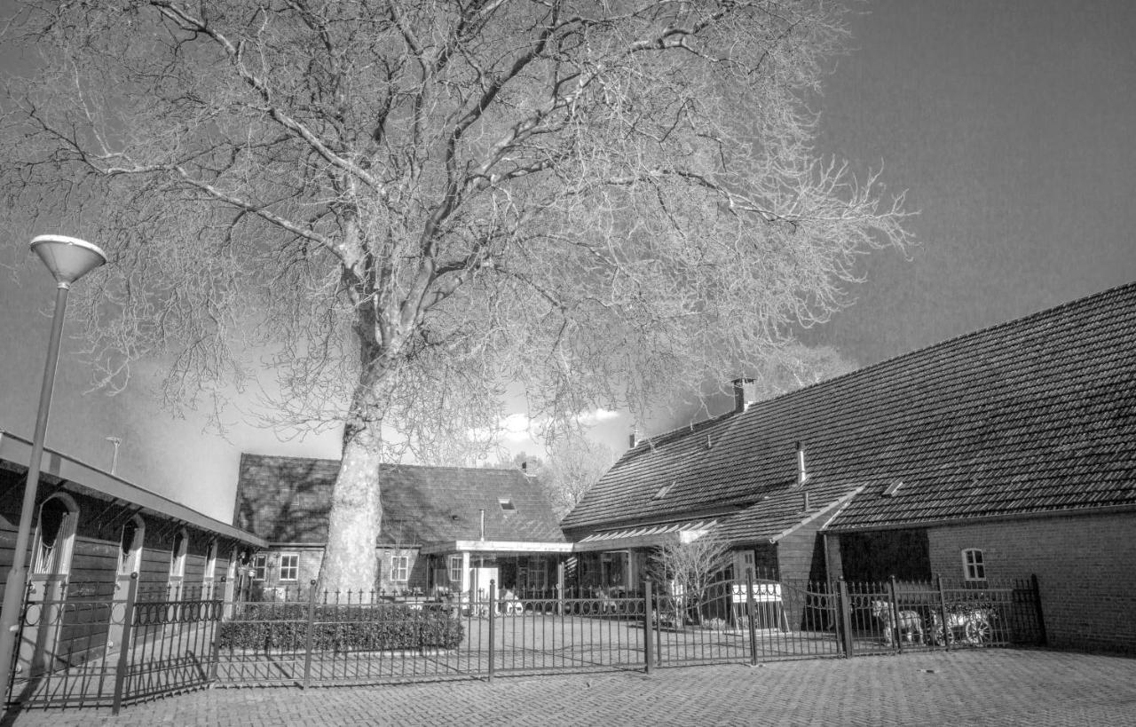 Bed En Box 3610 Bed & Breakfast Oirschot Exterior foto