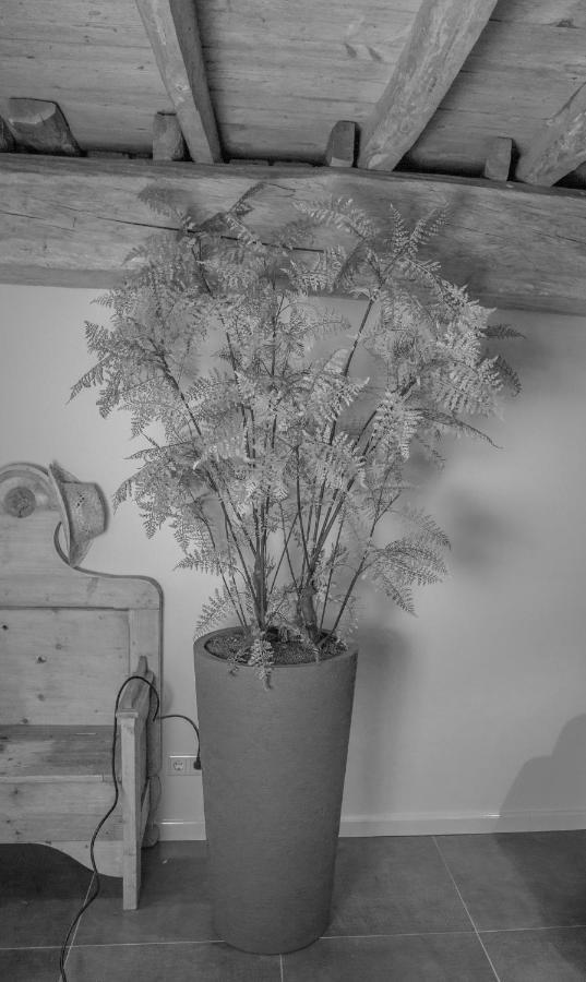 Bed En Box 3610 Bed & Breakfast Oirschot Exterior foto