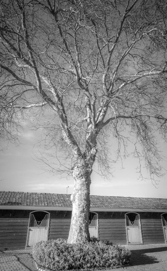 Bed En Box 3610 Bed & Breakfast Oirschot Exterior foto